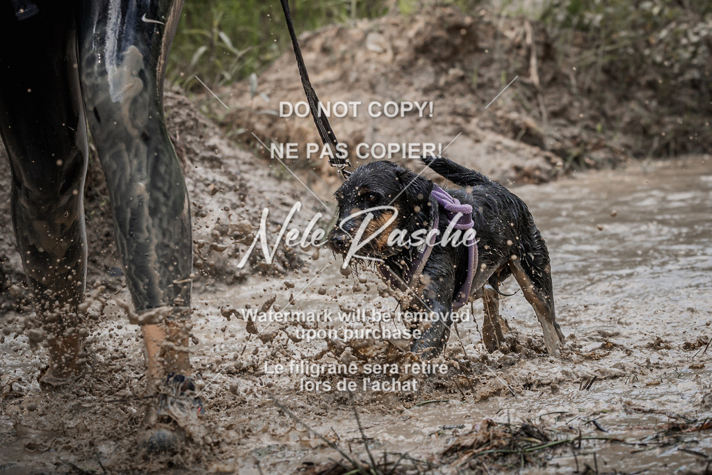 nelerasche_Hoope2026_So1600-1630_143 | nelerasche