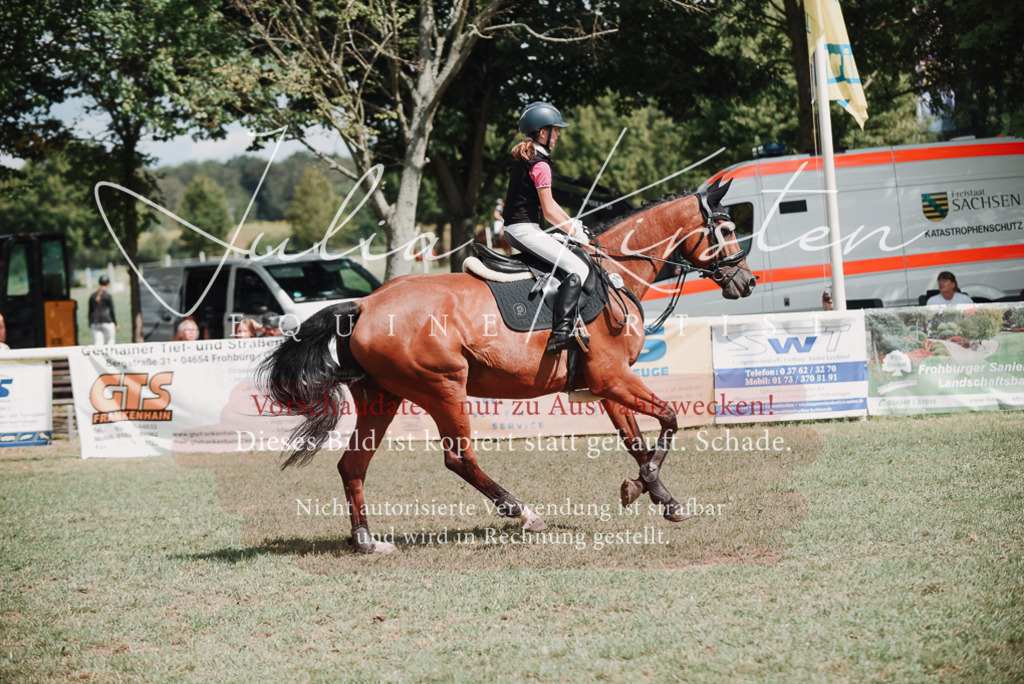 DSC_5629 | Pferde- und Turnierfotografie in Westsachsen. Pferdeportraits, Auftragszeichnungen und intuitive Kunst.