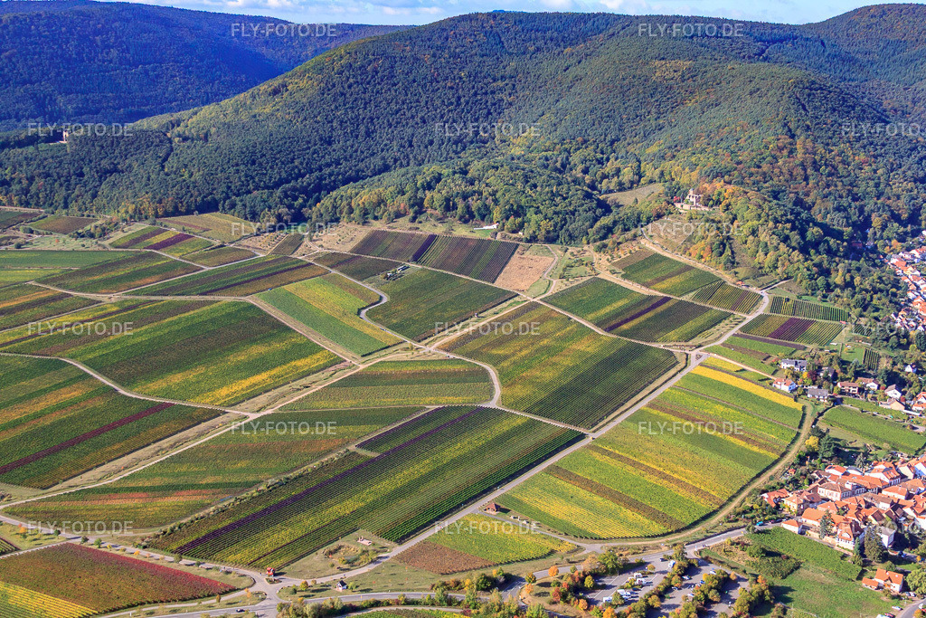 Segelflugzeug über der Kropsburg | Luftbild: Segelflugzeug über der Kropsburg im Ortsteil SaintMartin in Sankt Martin im Bundesland Rheinland-Pfalz in Deutschland. Foto: IMG_22137.jpg vom 15.10.2009 durch Werner Riehm/FLY-FOTO.de - Realisiert mit Pictrs.com