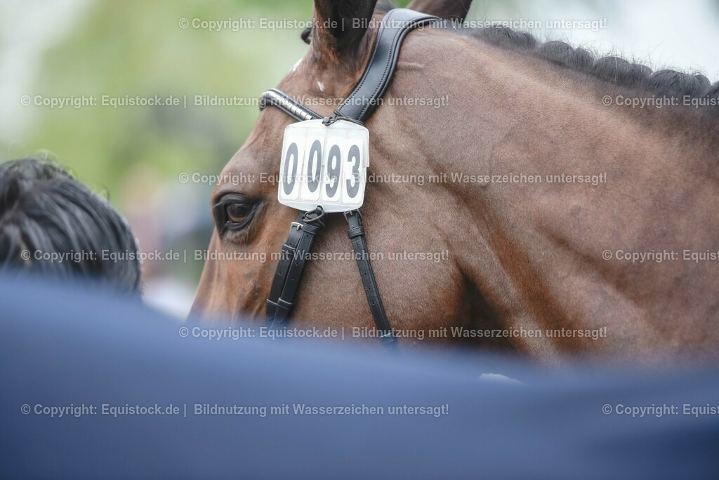 20230514_Impressionen_0182 | equistock