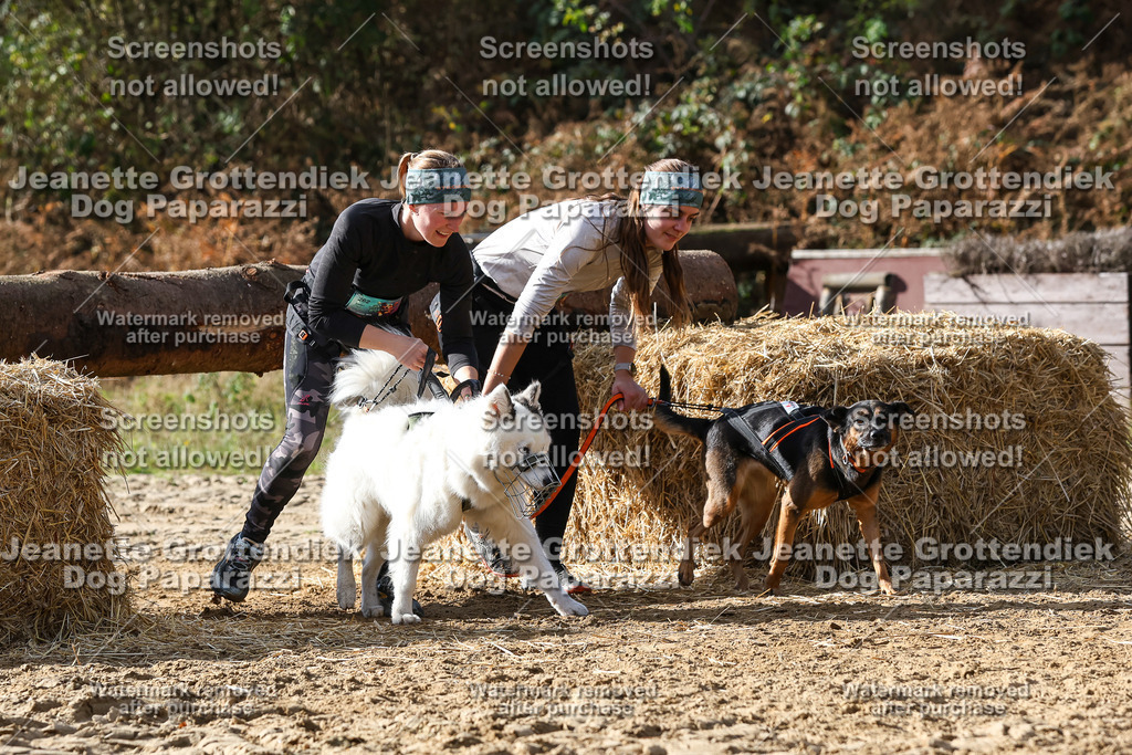 Dog Paparazzi - Strongdog 10-25-5666 | Dog Paparazzi Jeanette Grottendiek Fotografie & Videografie - Realisiert mit Pictrs.com