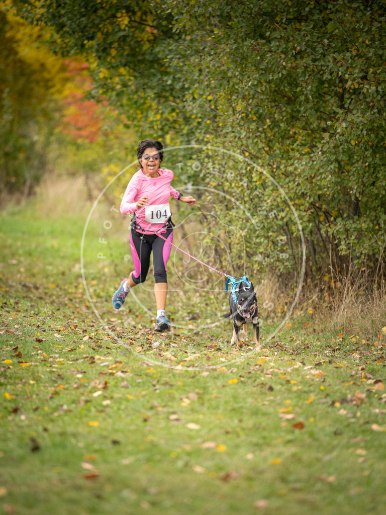 Pfotenfotografie_DV3A3549 | Hundefotografie, Tierfotograf, Pfotenfotografie, Fotoshooting Hund, Hunde Portrait, Hundesport, Hundeportraits, Heideshooting, Hunde, Sportfotograf, Hundefotograf, Turnierhundsport, THS,  - Realisiert mit Pictrs.com