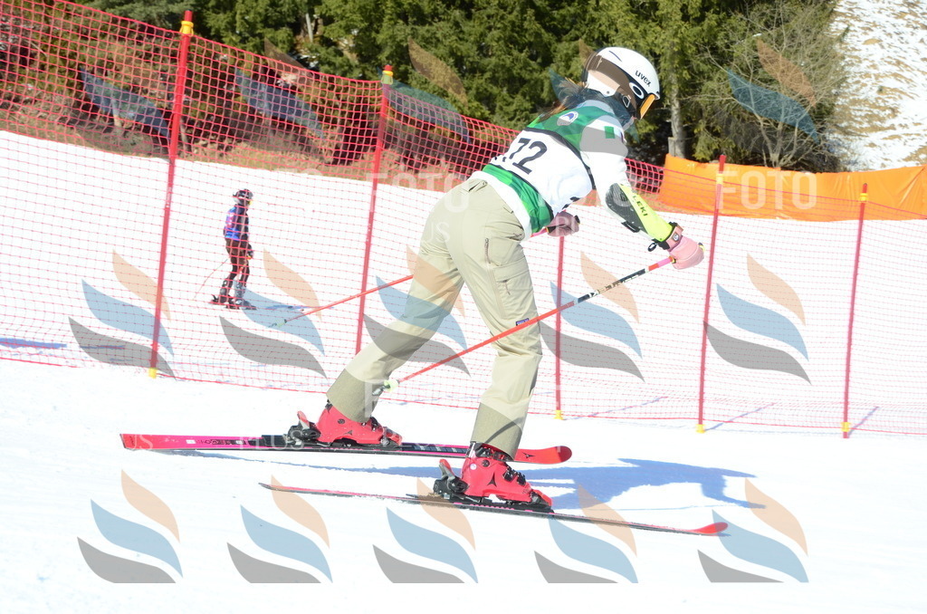 C6320 | holidayphoto