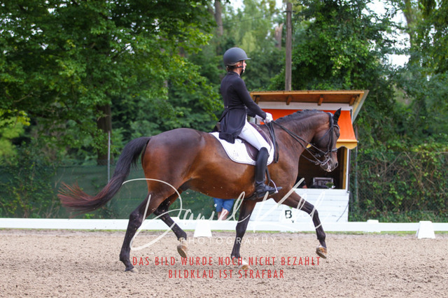 DKP41387 | Turniersportfotografie; Pferdefotografie; Dressurfotografie