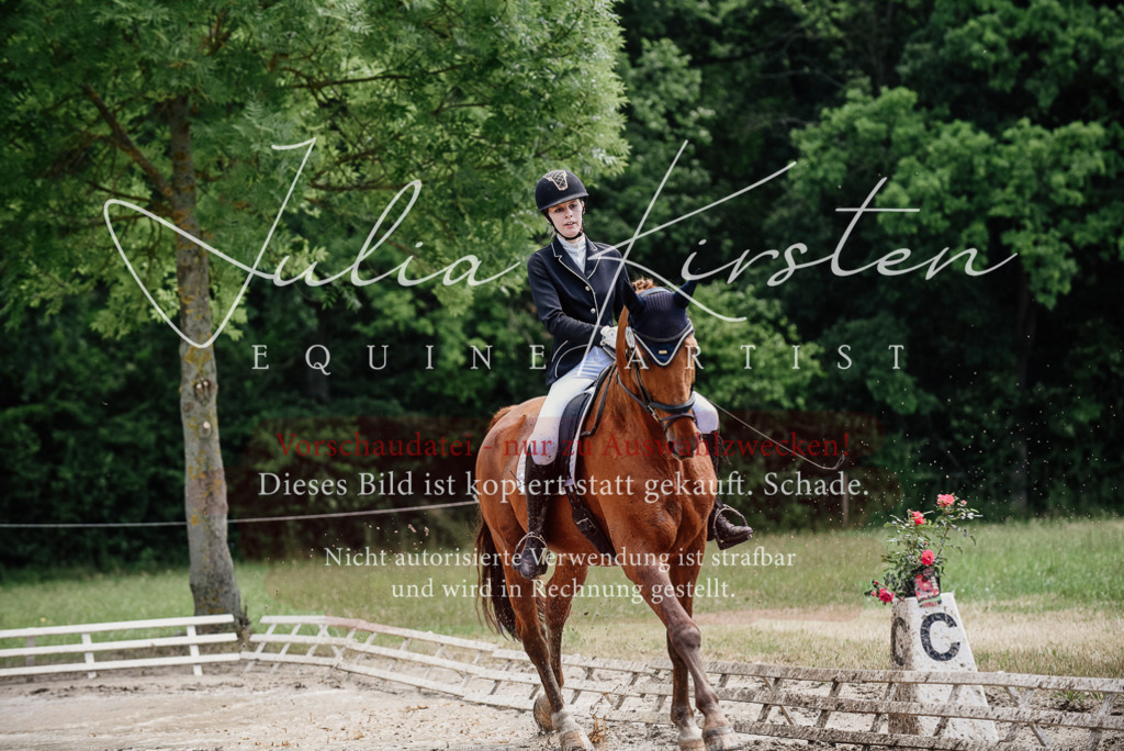 DSC_1603 | Pferde- und Turnierfotografie in Westsachsen. Pferdeportraits, Auftragszeichnungen und intuitive Kunst.