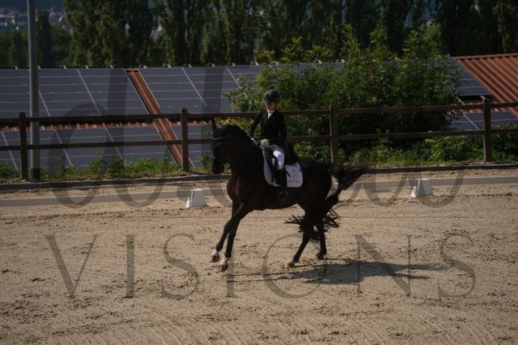 tgbhfreitag (1257) | d.tail Visions - Shop - Realisiert mit Pictrs.com