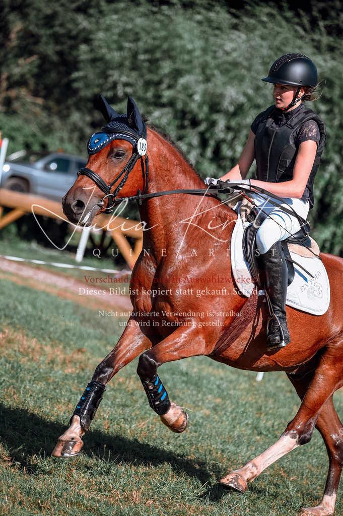 DSC_0950 | Pferde- und Turnierfotografie in Westsachsen. Pferdeportraits, Auftragszeichnungen und intuitive Kunst.