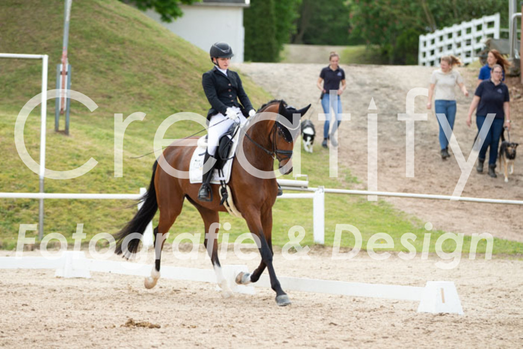 IMG_2444 | Creatify Fotografie