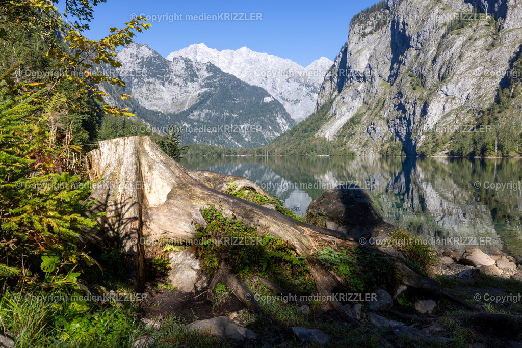 Königssee | medienkrizzler - Realisiert mit Pictrs.com
