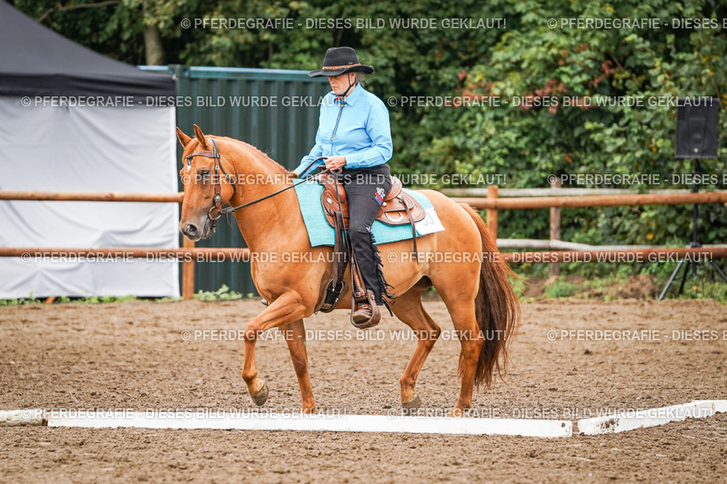 DSC03396 | Pferdegrafie