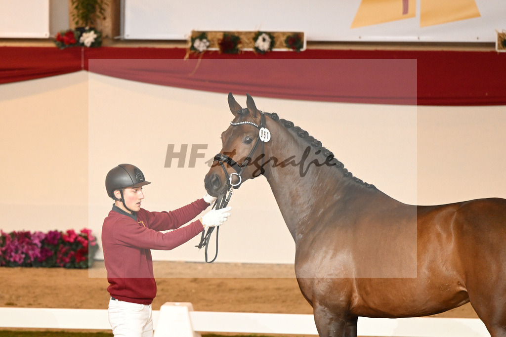 Kat-Nr. 61 Jovian_Limbecker GmbH_1230328 | hf-fotografie - Realisiert mit Pictrs.com