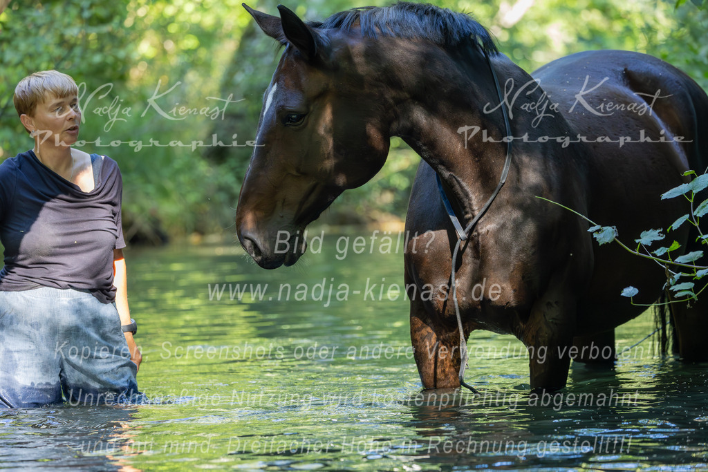 Auswahl_Photographie_Nadja_Kienast__IE_8433-Verbessert-RR | Ich biete Ihnen einzigartige und individuelle Fotoshootings mit Ihren Tieren.
In individuellen Coachings lernen Sie, wie sie von Ihrem Pferd, Ihrer Katze, Ihrem Hund oder einfach Ihrem persönlichen Lieblingstier eindrucksvolle Fotos machen können.