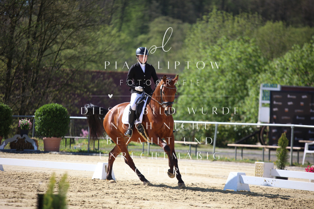 IMGT9651 | pl-fotografie