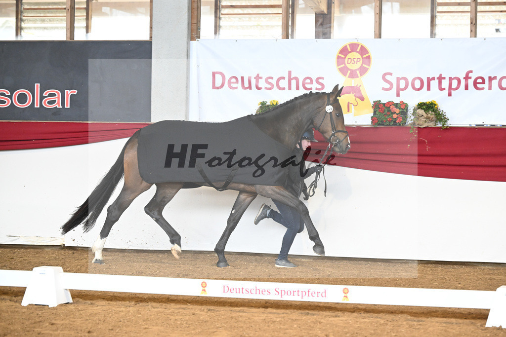 Kat-Nr. 48 Bellana v. Bellany_Jaumann_16250262 | hf-fotografie - Realizzato con Pictrs.com