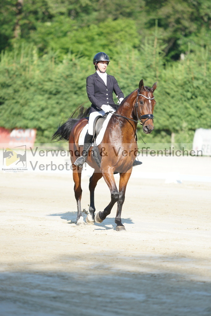 DSC02786 | equestrian-live-com