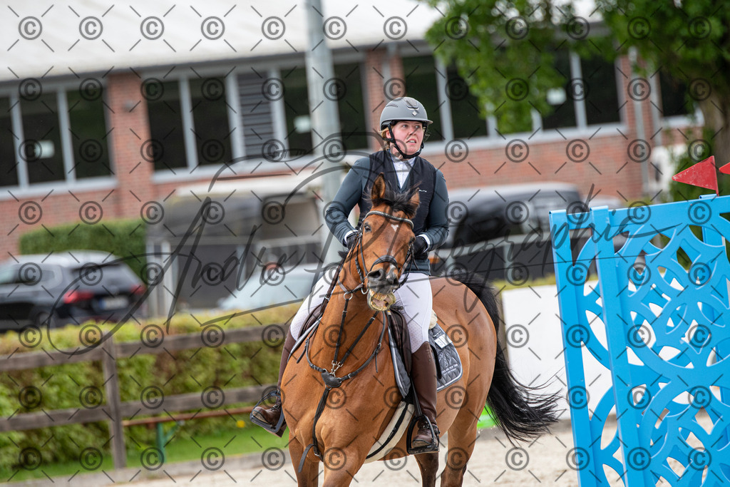 KPT_0031 | andre_photographic