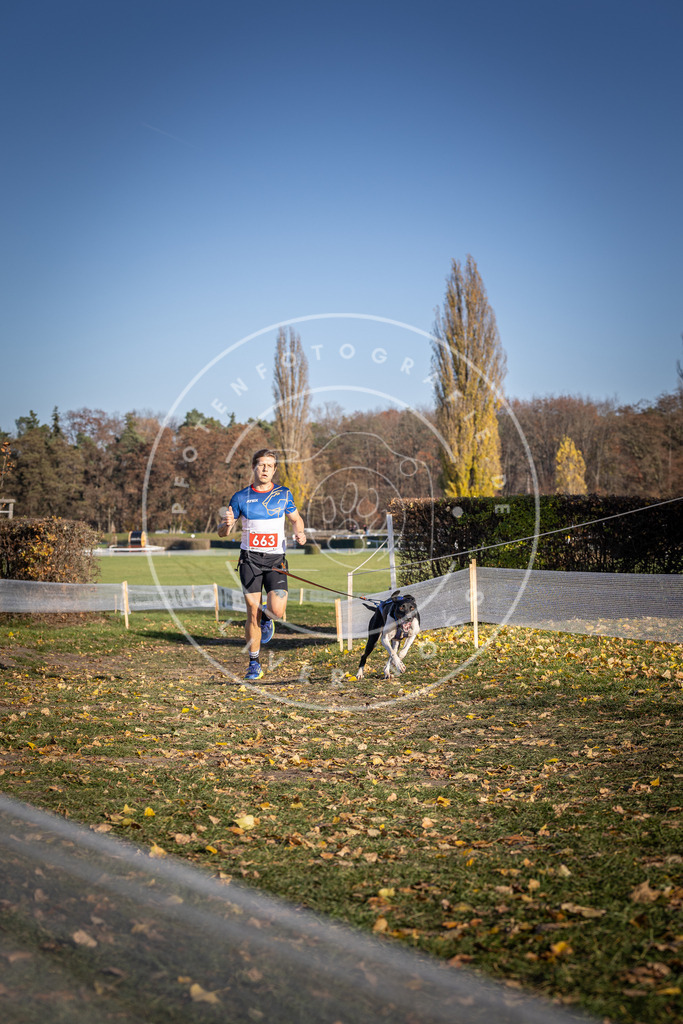 CaniXpix_DV3A0717 | Hundefotografie, Tierfotograf, Pfotenfotografie, Fotoshooting Hund, Hunde Portrait, Hundesport, Hundeportraits, Heideshooting, Hunde, Sportfotograf, Hundefotograf, Turnierhundsport, THS,  - Realisiert mit Pictrs.com