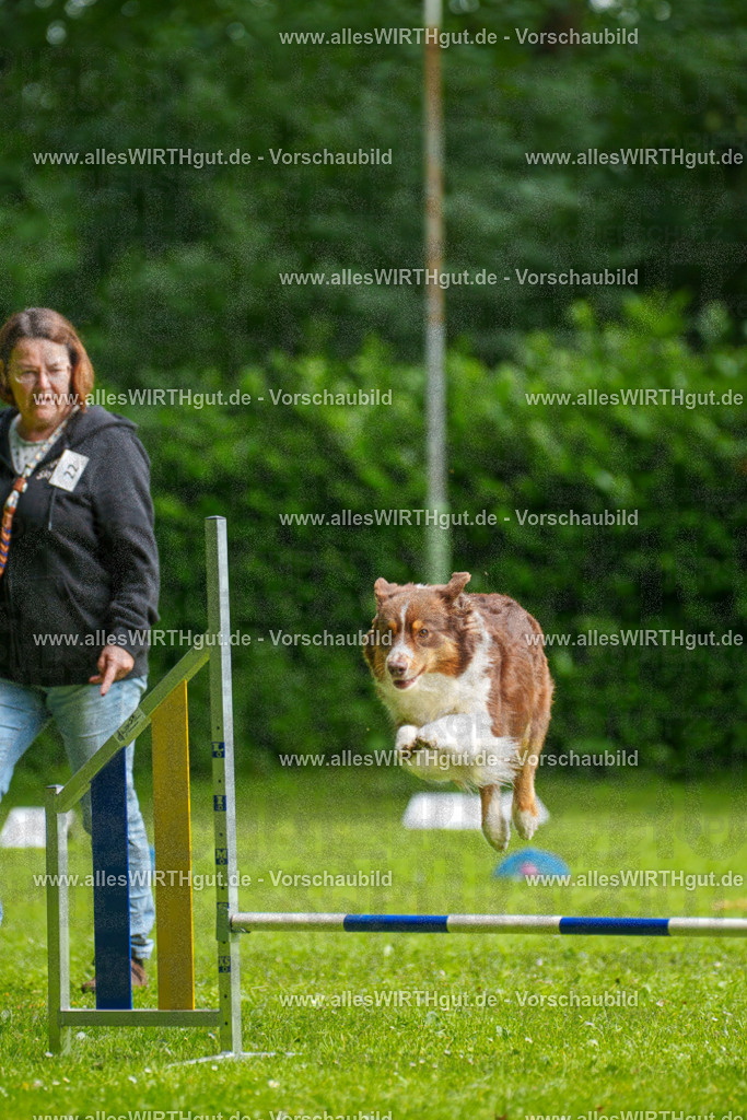 @allesWIRTHgut_Tierfotografie - www.allesWIRTHgut.de - 094439-7R507528 | Professionelle Tierfotografie in Mönchengladbach von Daniel Wirth (allesWIRTHgut). Liebevolle & natürliche Bilder von Hunden & Katzen für unvergessliche Erinnerungen.
