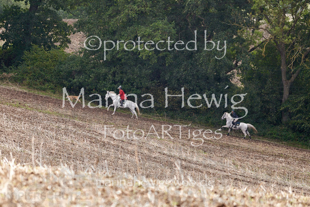 _MCH7915_Marina Hewig | Fotografie, FotoArt, PferdesportArt, Pferdesportfotografie, Landschaftsfotografie, Reisefotografie, Reise, Pferde - Realisiert mit Pictrs.com