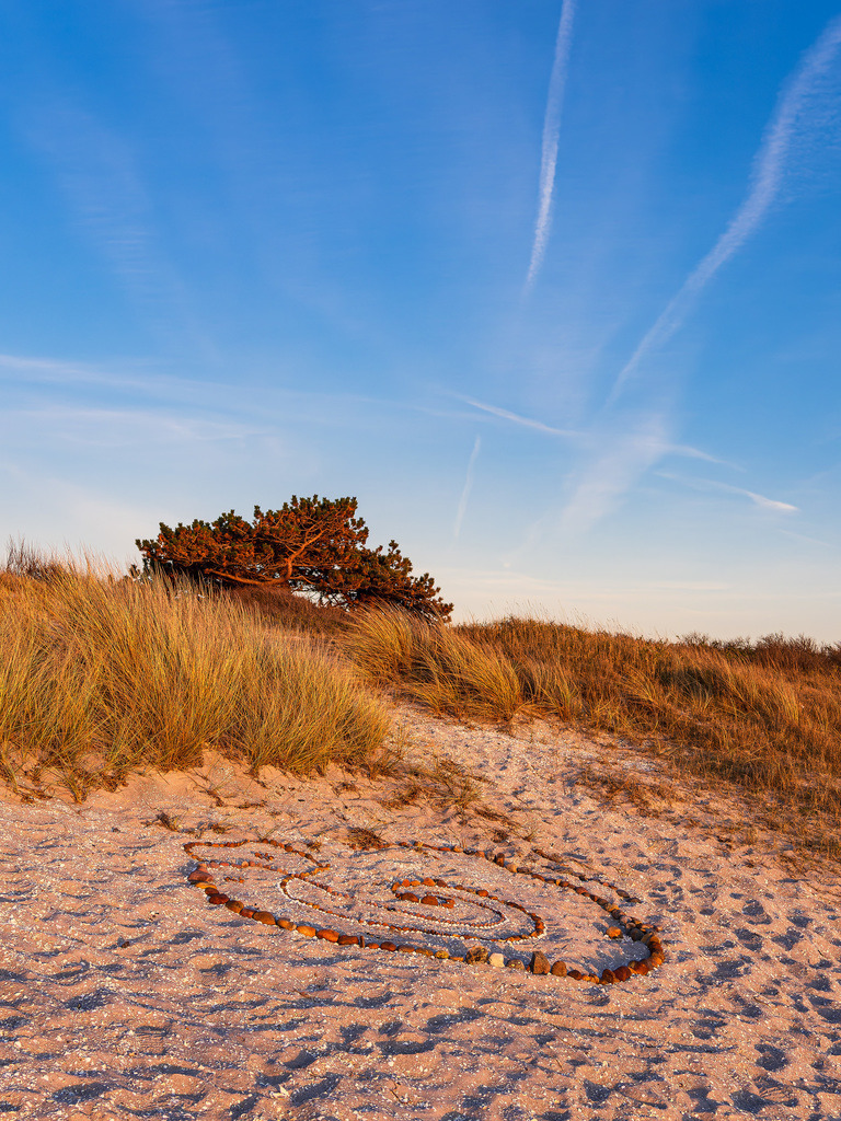 Strand in Kloster auf der Insel Hiddensee | Strand in Kloster auf der Insel Hiddensee.