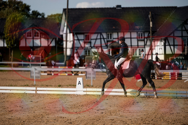 2026_10_03_Siefer-Hof_120108_Z63_33145570 | Professionelle Reitsport-, Turnier- und Eventfotografie von Robert Broda. Galerien mit ausgewählten und bearbeiteten Bildern direkt online ansehen und bestellen.