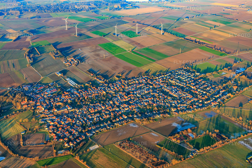 Luftbild: Windpark im Winter in Minfeld im Bundesland Rheinland-Pfalz in Deutschland. Foto: IMG_145306.jpg vom 14.01.2025 durch Werner Riehm/FLY-FOTO.de