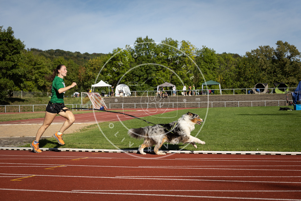 Pfotenfotografie_DV3A9351 | Hundefotografie, Tierfotograf, Pfotenfotografie, Fotoshooting Hund, Hunde Portrait, Hundesport, Hundeportraits, Heideshooting, Hunde, Sportfotograf, Hundefotograf, Turnierhundsport, THS,  - Realisiert mit Pictrs.com