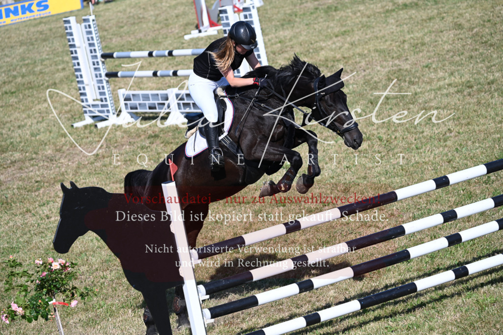 DSC_2425 | Pferde- und Turnierfotografie in Westsachsen. Pferdeportraits, Auftragszeichnungen und intuitive Kunst.
