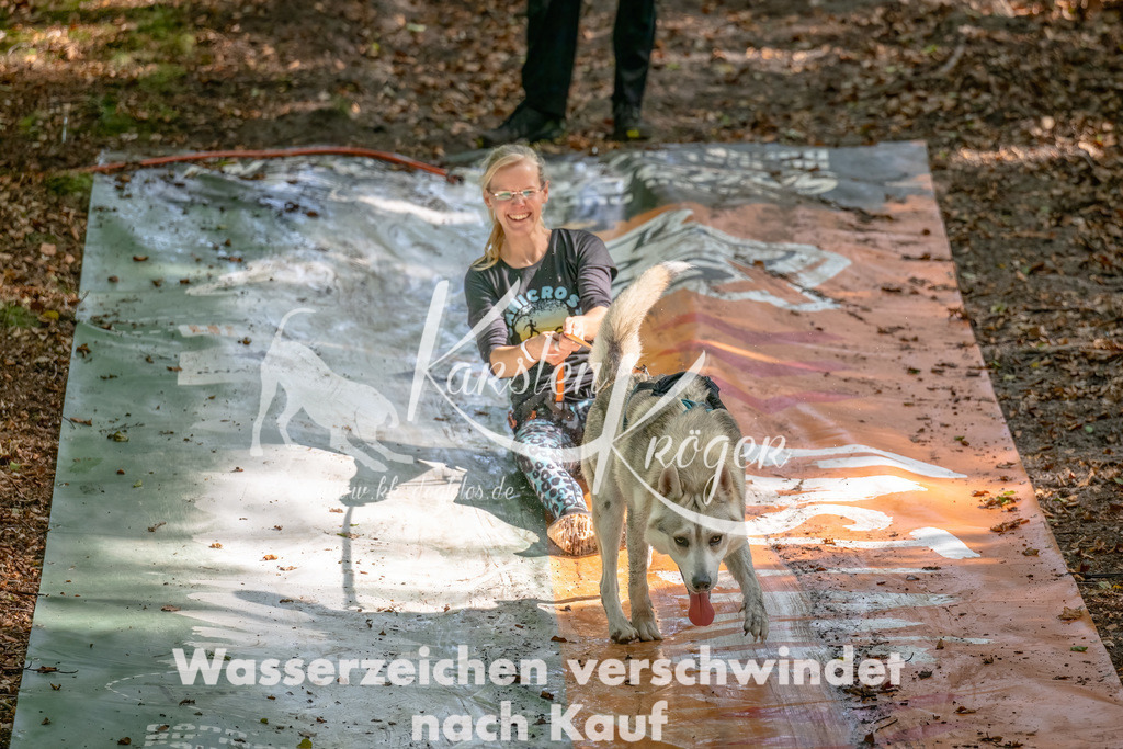 1217_ZZ93778-Bearbeitet | kk-dogfotos