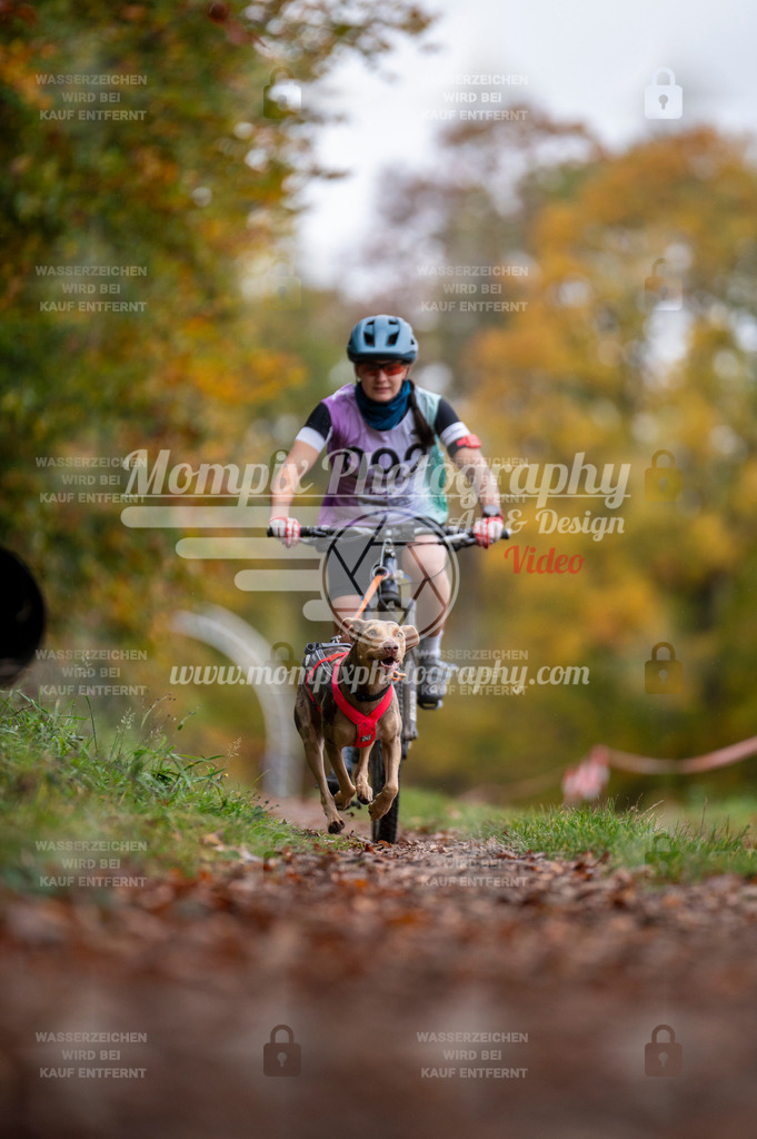 DBT_DAKM_SA_4_11_2023_Bike-35 | PayLife