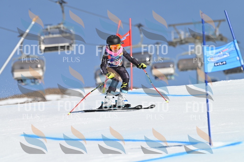 BGV_8041 | holidayphoto