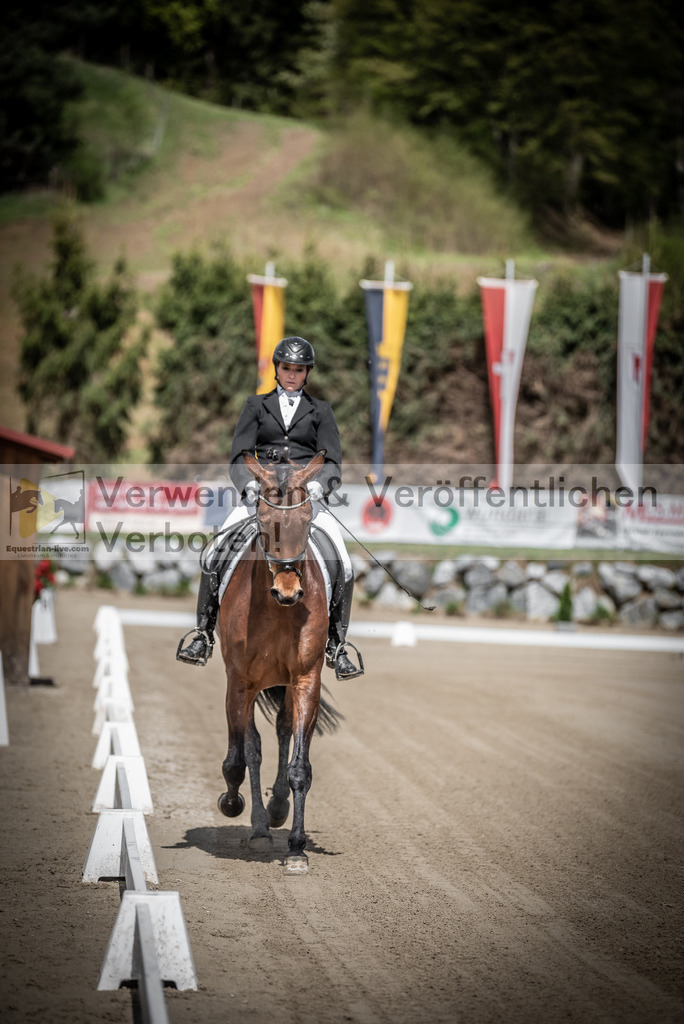 DSC_1213 | equestrian-live-com