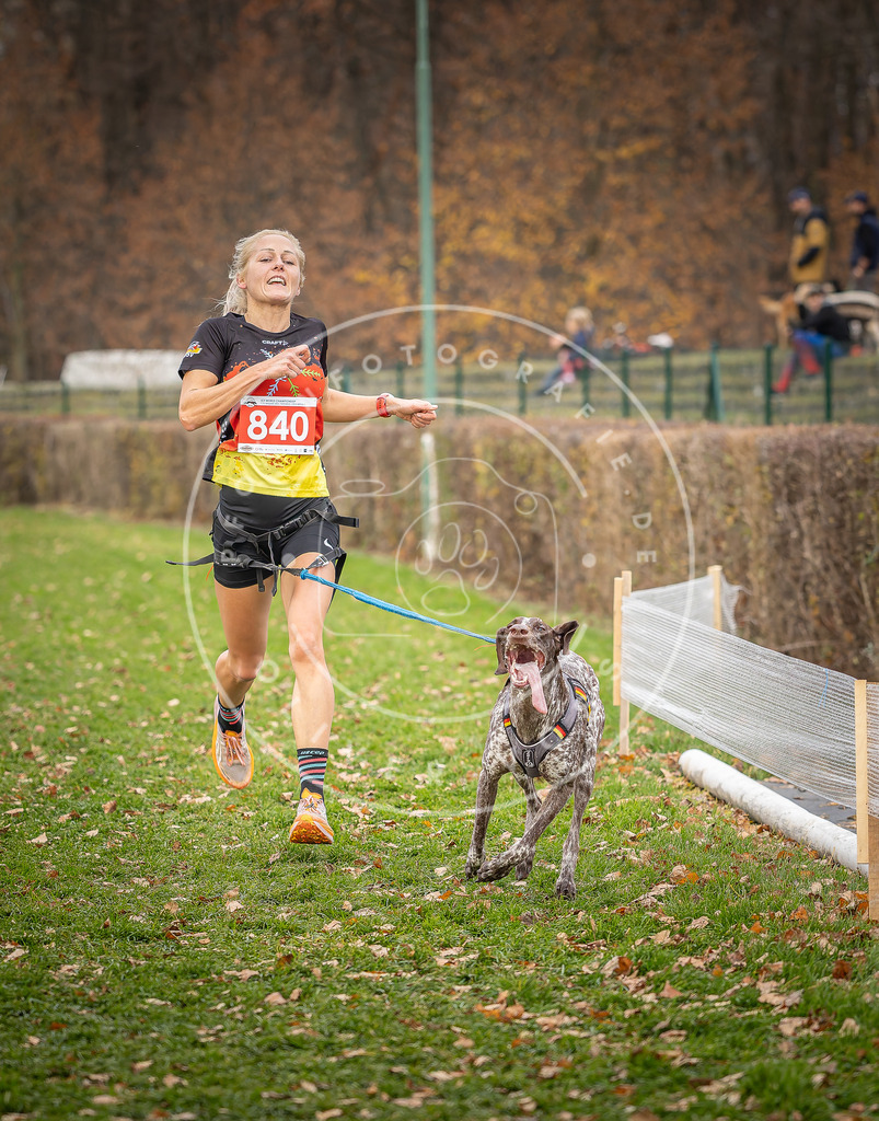CaniXpix_DV3A6225 | Hundefotografie, Tierfotograf, Pfotenfotografie, Fotoshooting Hund, Hunde Portrait, Hundesport, Hundeportraits, Heideshooting, Hunde, Sportfotograf, Hundefotograf, Turnierhundsport, THS,  - Realisiert mit Pictrs.com