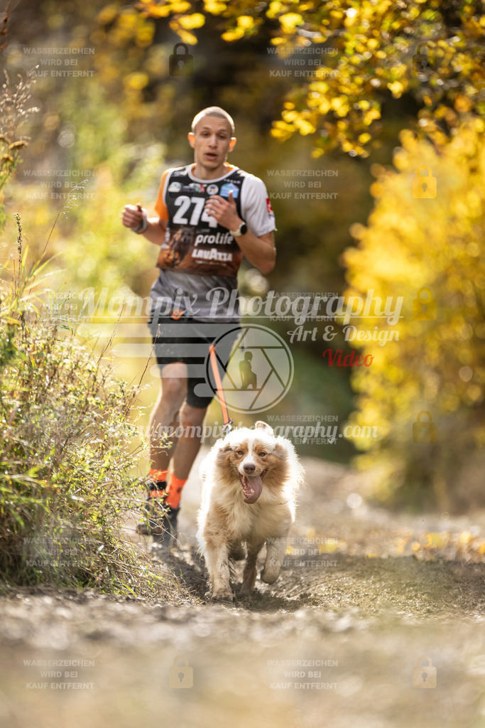 MompixPhotography_ICF_WC_2024_SA_Run_-110 | PayLife