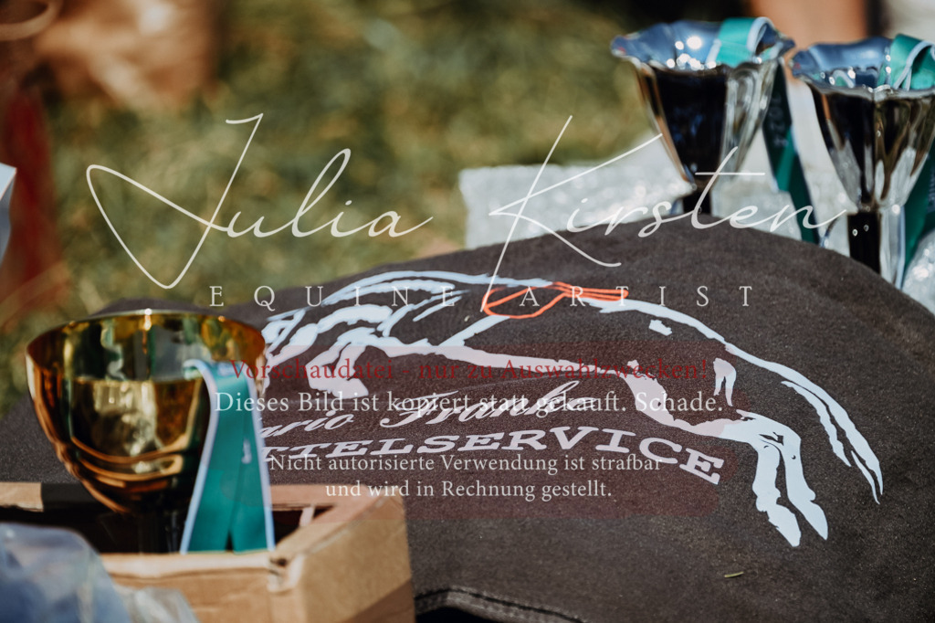 DSC_0074 | Pferde- und Turnierfotografie in Westsachsen. Pferdeportraits, Auftragszeichnungen und intuitive Kunst.