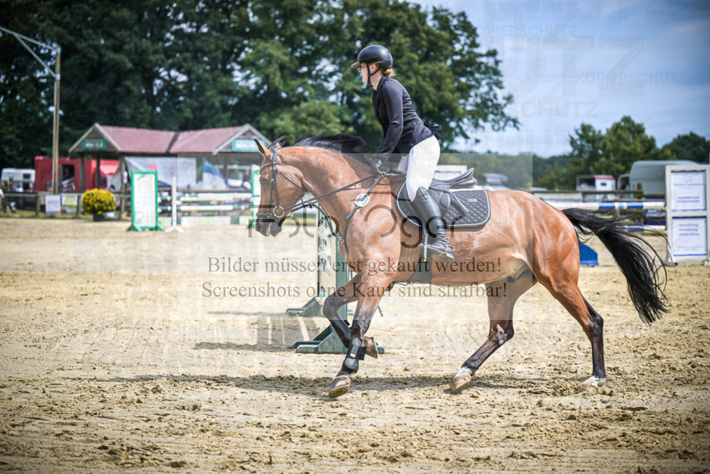 DOS_4387 | Entdecke hochwertige Reitturnierfotos von Foto Oger. Professionell, emotional und authentisch – jetzt Lieblingsmomente im Shop bestellen.Deutschlandweite Turnierfotografie. - Realisiert mit Pictrs.com