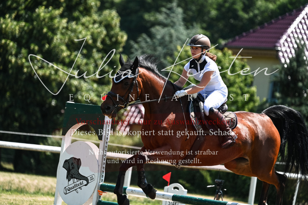 DSC_0391 | Pferde- und Turnierfotografie in Westsachsen. Pferdeportraits, Auftragszeichnungen und intuitive Kunst.