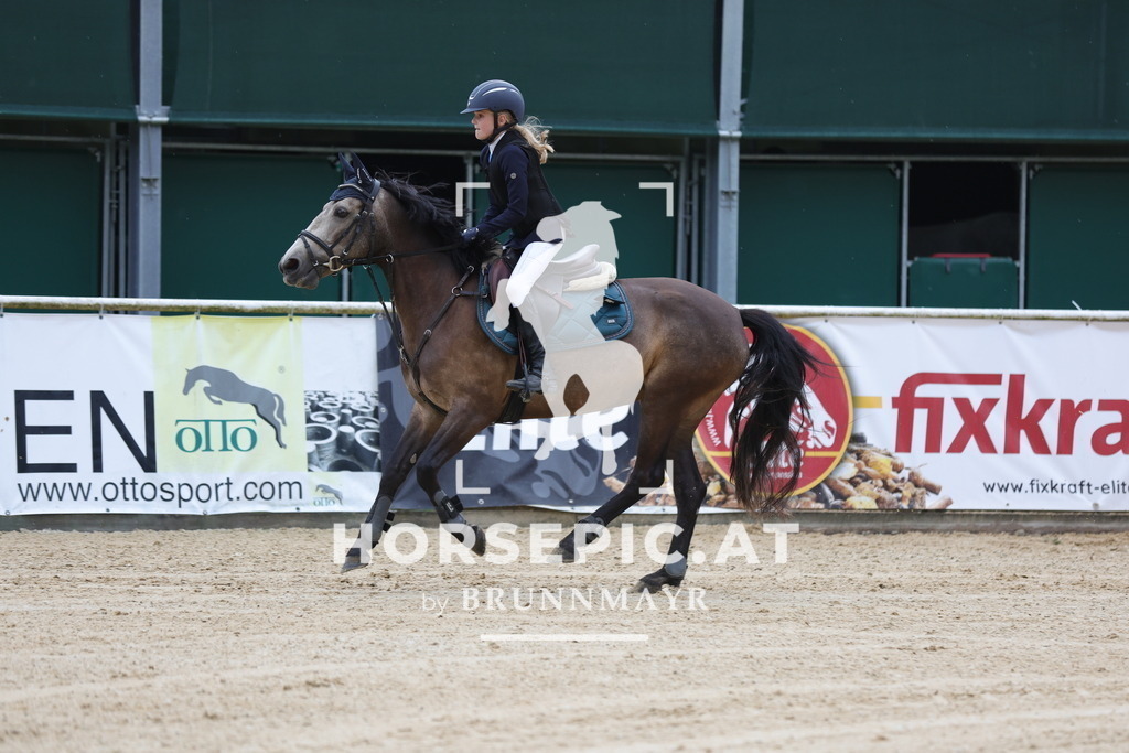 0P6A7105 | Willkommen bei Brunnmayr - Design & Fotografie – Ihrem Spezialisten für Reitturniere und Pferdeveranstaltungen in Oberösterreich, Salzburg und Bayern! Seit über 17 Jahren sind wir leidenschaftlich dabei.