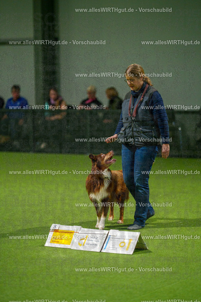 7R508892 | Professionelle Tierfotografie in Mönchengladbach von Daniel Wirth (allesWIRTHgut). Liebevolle & natürliche Bilder von Hunden & Katzen für unvergessliche Erinnerungen.