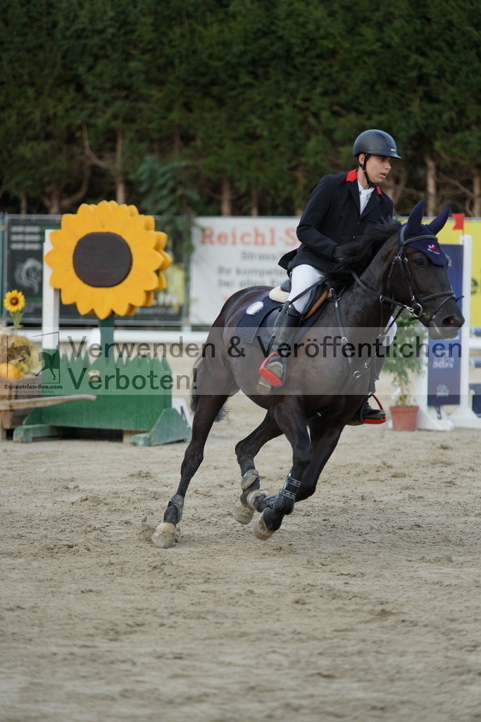 DSC01653 | equestrian-live-com