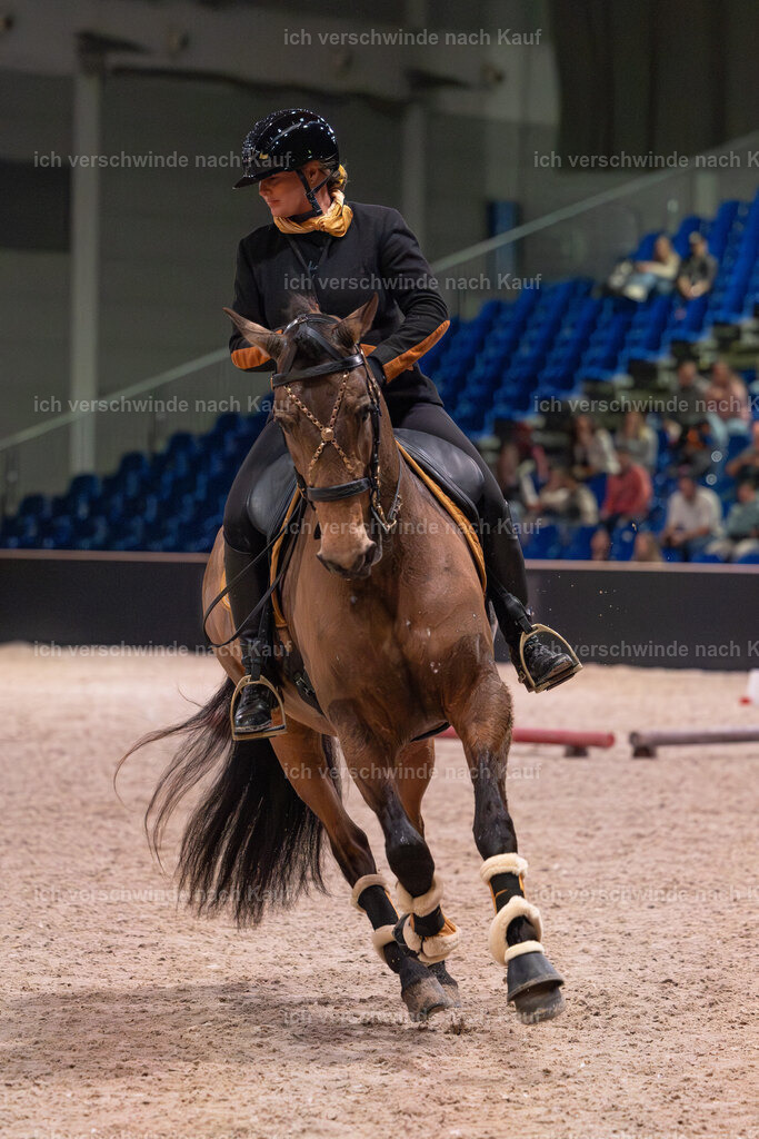 JoseraCup-63 | working equitationturnier fotograf videograf stoibphotography marixx film working equitation deutschland reitsport turnierfotografie eventfotografie equestrian events