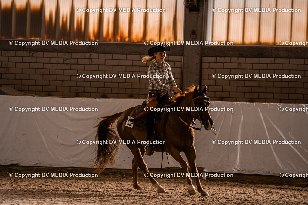 ZH300349 | dv-media-shop - Realisiert mit Pictrs.com