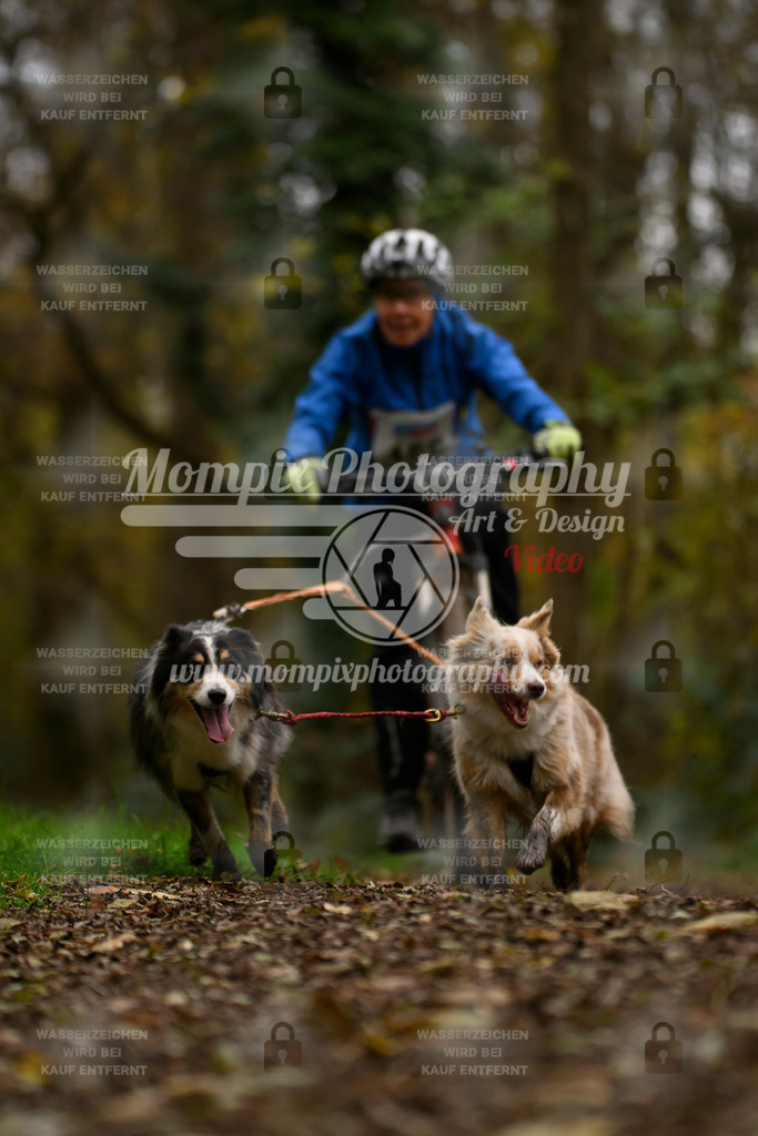 MompixPhotography_Bischwiller24_SA_VTT2-27 | PayLife