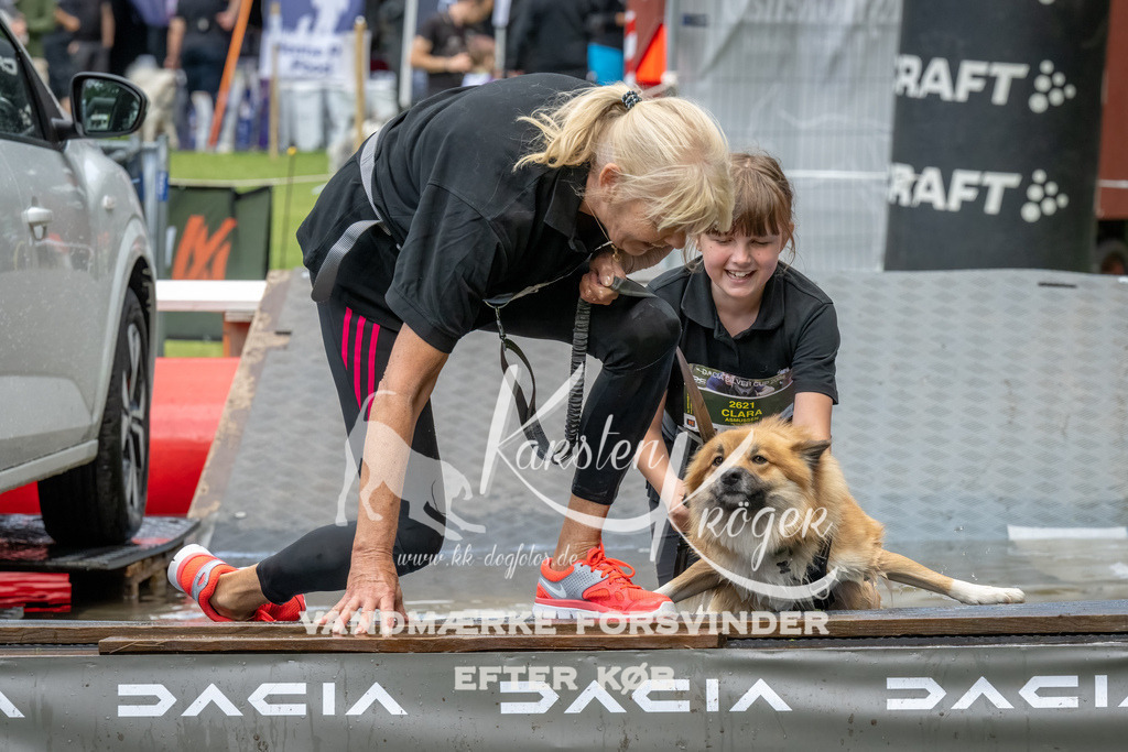 1445_ZZ92334-Bearbeitet | kk-dogfotos