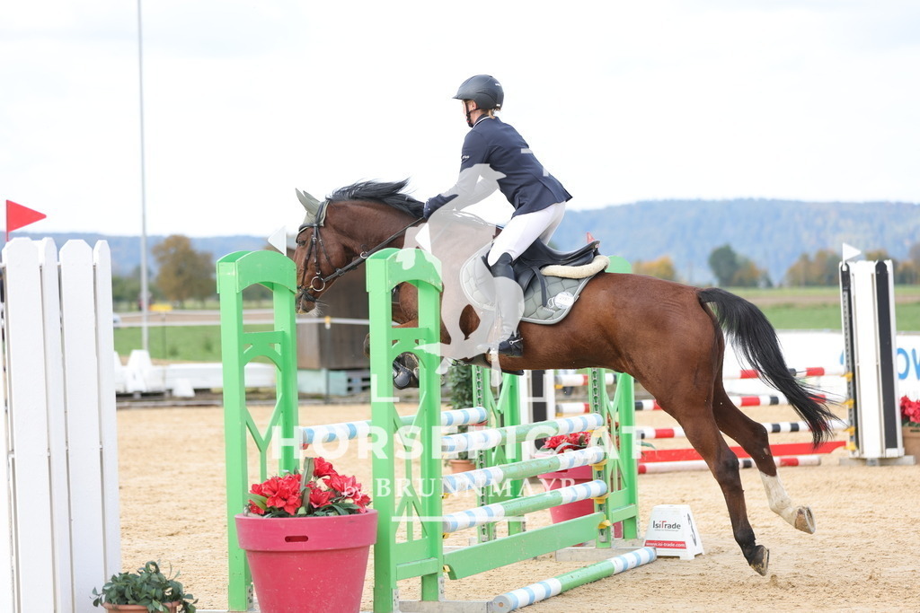 0P6A9497 | Willkommen bei Brunnmayr - Design & Fotografie – Ihrem Spezialisten für Reitturniere und Pferdeveranstaltungen in Oberösterreich, Salzburg und Bayern! Seit über 17 Jahren sind wir leidenschaftlich dabei.
