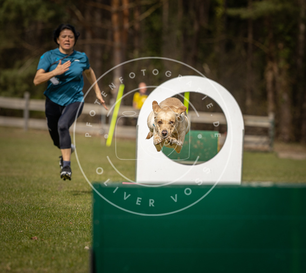 Pfotenfotografie_DV3A8379 | Hundefotografie, Tierfotograf, Pfotenfotografie, Fotoshooting Hund, Hunde Portrait, Hundesport, Hundeportraits, Heideshooting, Hunde, Sportfotograf, Hundefotograf, Turnierhundsport, THS,  - Realisiert mit Pictrs.com