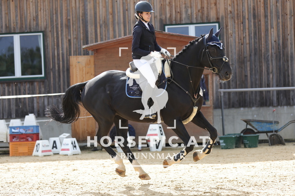 0P6A8572 | Willkommen bei Brunnmayr - Design & Fotografie – Ihrem Spezialisten für Reitturniere und Pferdeveranstaltungen in Oberösterreich, Salzburg und Bayern! Seit über 17 Jahren sind wir leidenschaftlich dabei.