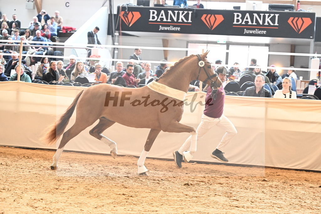 Kat.-Nr. 68 v. Juwel_Westhoff _ Rothenberger_3265576 | hf-fotografie - Realisiert mit Pictrs.com