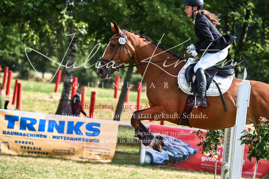 DSC_7697 | Pferde- und Turnierfotografie in Westsachsen. Pferdeportraits, Auftragszeichnungen und intuitive Kunst.