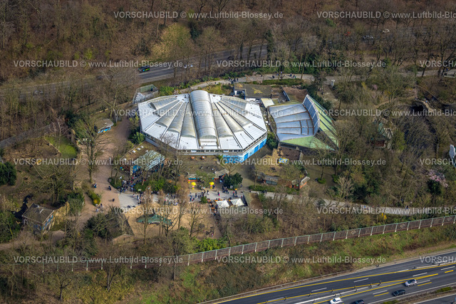 Duisburg240304066 | Luftbild, Delfinarium Zoo Duisburg, Besucher, Duissern, Duisburg, Ruhrgebiet, Nordrhein-Westfalen, Deutschland, Duisburg-S